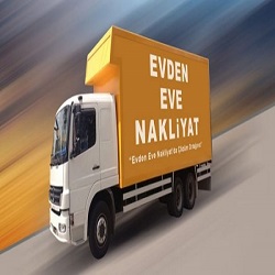 Ünye Nakliye Firması